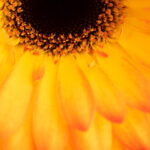 DSC 0290 Scaled E1776354238370 150x150